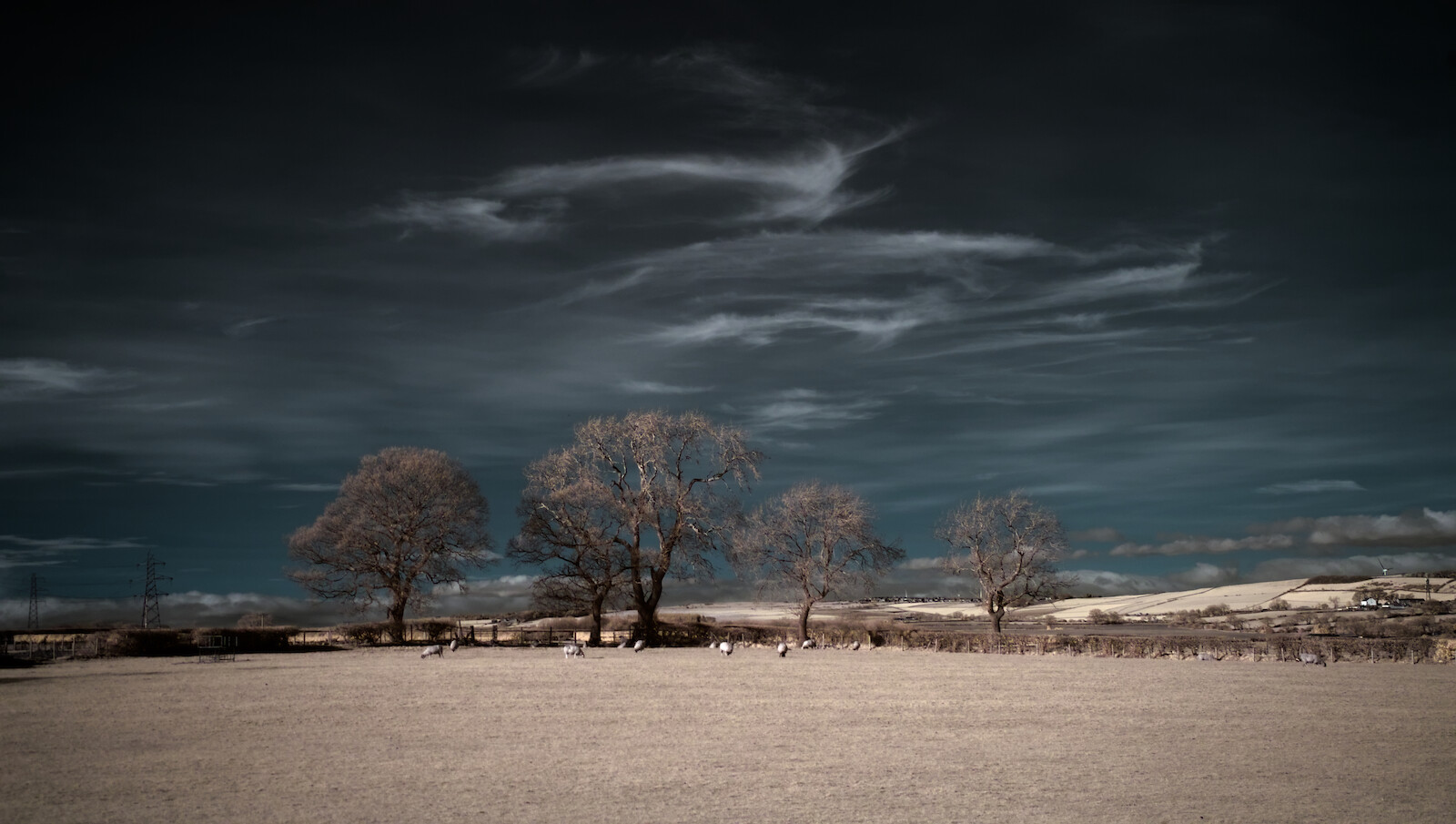 Link to Landscape gallery